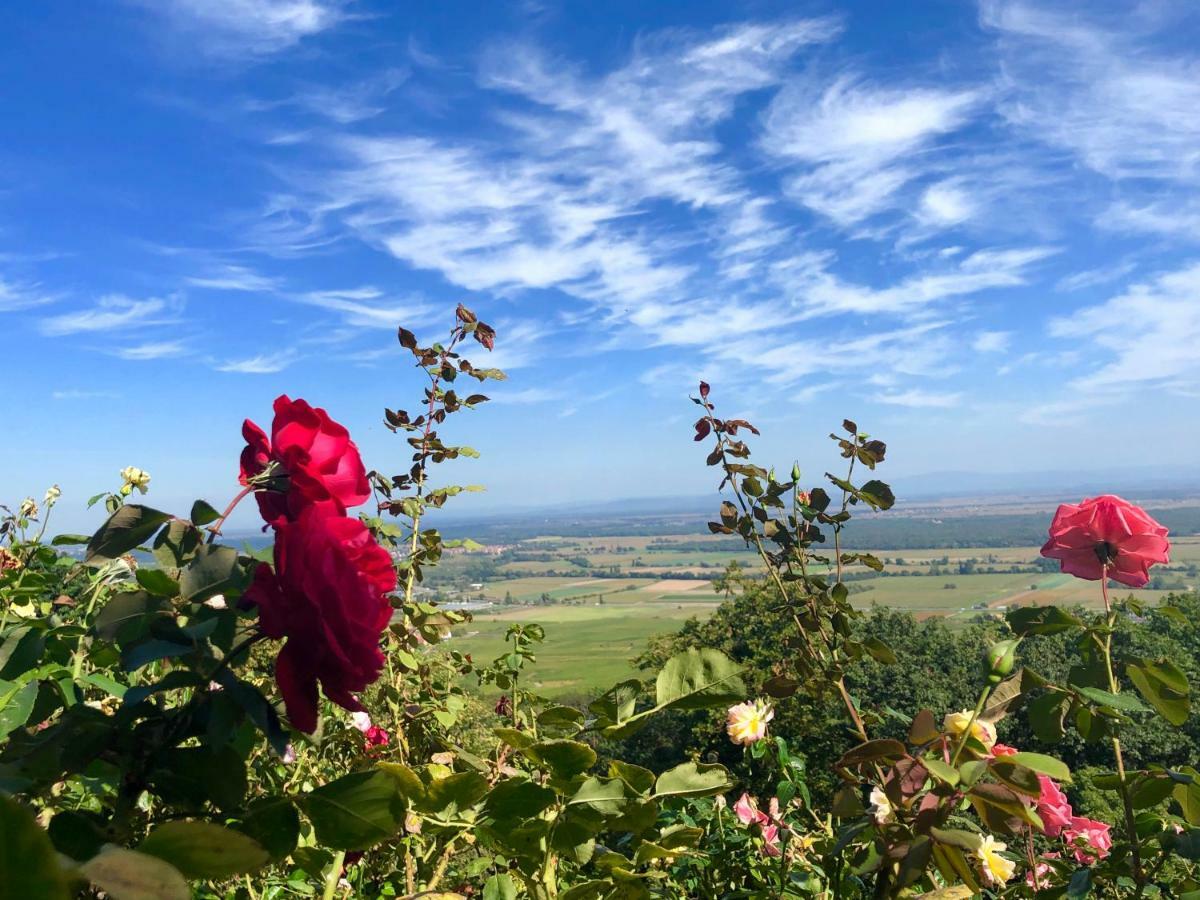 Lo'gite L'allee Du Val Holiday home *